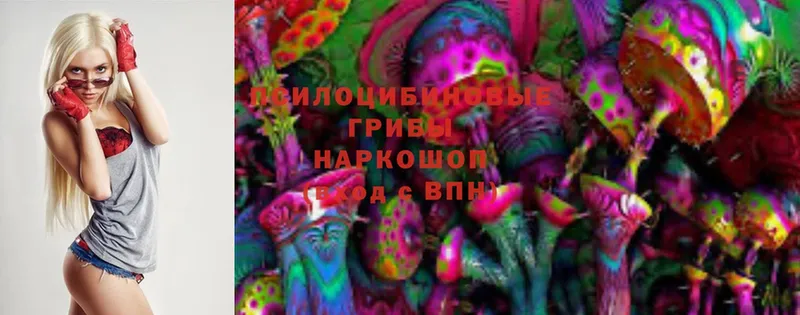 Галлюциногенные грибы MAGIC MUSHROOMS  Бирюсинск 